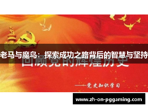 老马与魔鸟：探索成功之路背后的智慧与坚持