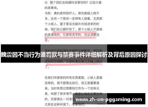 魏震因不当行为遭罚款与禁赛事件详细解析及背后原因探讨