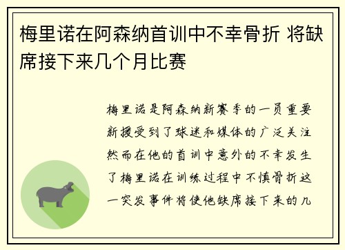 梅里诺在阿森纳首训中不幸骨折 将缺席接下来几个月比赛 梅里诺在阿森纳首训中不幸骨折 将缺席接下来几个月比赛